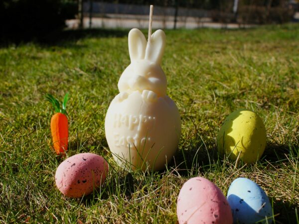 królik Królik Wielkanocny